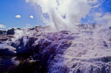 Pohutu Geyser