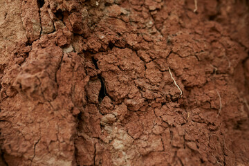 Texture of dry clay and earth close up. 