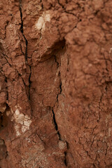 Texture of dry clay and earth close up. 