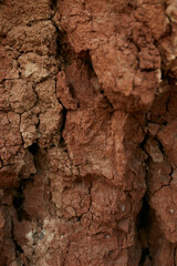 Texture of dry clay and earth close up. 