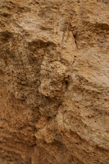 Texture of shell rock and earth close-up. breed
