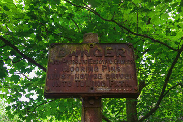 old sign on a tree