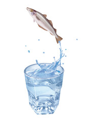 merlan, poisson, évasion, saut, eau, en verre, boire, clapoter, liquide, isolé, froid, blanc, danger, boisson, glace, bouillonner, bleu, éclaboussure, frais, clair, abattre, verser, sain, transparent,