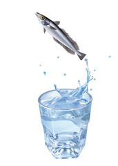 merlu, poisson, évasion, saut, eau, en verre, boire, clapoter, liquide, isolé, froid, blanc, danger, boisson, glace, bouillonner, bleu, éclaboussure, frais, clair, abattre, verser, sain, transparent, 