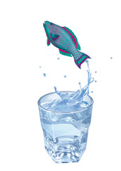 perroquet, poisson, évasion, saut, eau, en verre, boire, clapoter, liquide, isolé, froid, blanc, danger, boisson, glace, bouillonner, bleu, éclaboussure, frais, clair, abattre, verser, sain, transpare