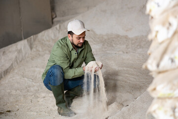 Young adult man owner of dairy farm checking corn flour for feeding livestock animals in farm...