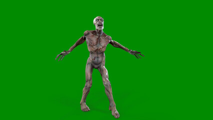 Fantasy character Zombie Undead in epic pose - 3D render on isolated green background