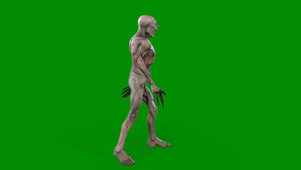 Fantasy character Zombie Undead in epic pose - 3D render on isolated green background