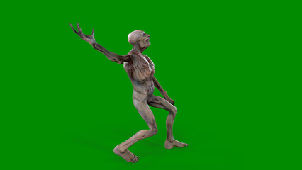 Fototapeta na wymiar Fantasy character Zombie Undead in epic pose - 3D render on isolated green background