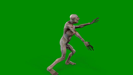 Fantasy character Zombie Undead in epic pose - 3D render on isolated green background