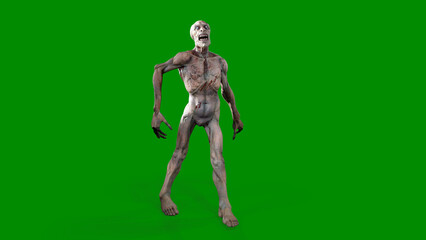 Fantasy character Zombie Undead in epic pose - 3D render on isolated green background