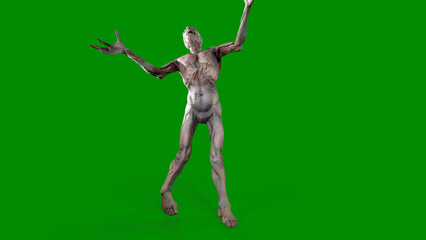 Fantasy character Zombie Undead in epic pose - 3D render on isolated green background