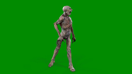 Fantasy character Zombie Undead in epic pose - 3D render on isolated background