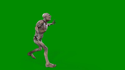 Fantasy character Zombie Undead in epic pose - 3D render on isolated background