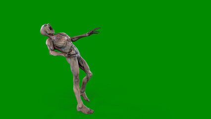 Fantasy character Zombie Undead in epic pose - 3D render on isolated background