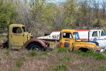 Old Trucks in a field in Morse Washington