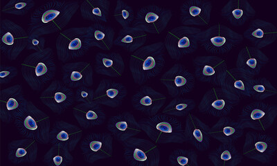 Watercolor Colorful Feather Background Design