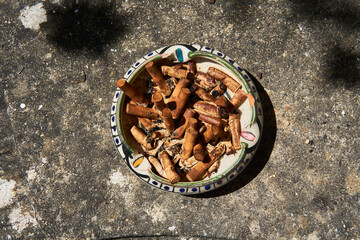 cigarette butts