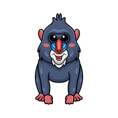 Cute little mandrill cartoon posing