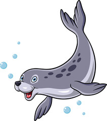 Cartoon seal swimming on white background