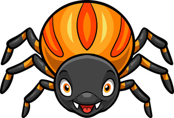 Cartoon cute spider on white background