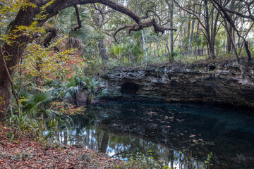 Scott Springs park in Ocala, Florida