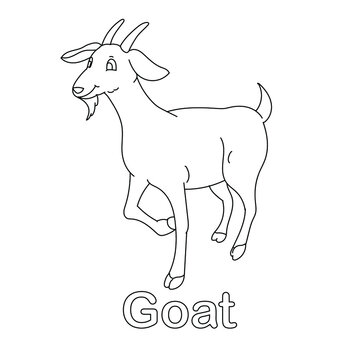 goat coloring page line art animal vector