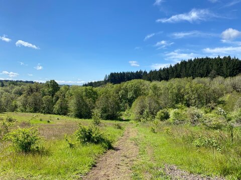 Hillside View In Corvallis, Oregon