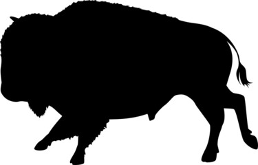 走るバイソン