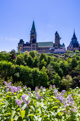 Canadian parliament during the tulips festival