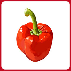手描き厚塗り水彩の赤パプリカイラスト