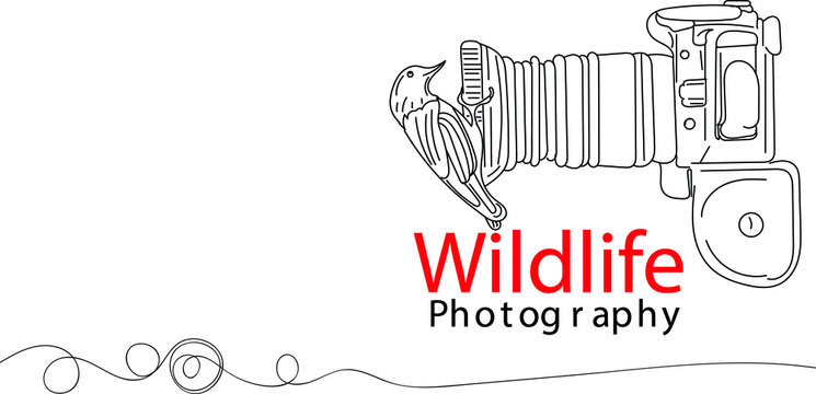 Wildlife Photography logo, Camera Vector, Sketch drawing of a sparrow bird sitting on front of camera lens, Wildlife photoshoot illustration