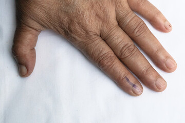 A senior citizen Indian woman voted , exercized her voting right and got her index finger inked. India is the largest democratic country in the world and Governments are formed by voting by Indians.