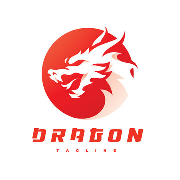 Modern dragon head in a circle logo design. Dragon or serpent emblem vector icon