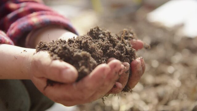 CLOSEUP REVEAL - A child lifts a handful of compost into frame and inspects it