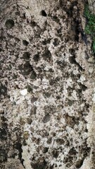 abstract background with rock texture
