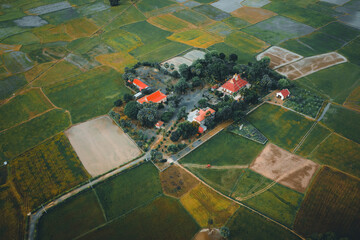 Aerial view of fresh green and yellow rice fields and palmyra trees in Mekong Delta, Tri Ton town, An Giang province, Vietnam. Ta Pa rice field.