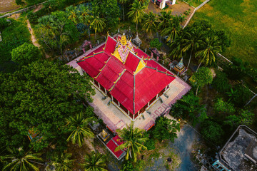 Aerial view of fresh green and yellow rice fields and palmyra trees in Mekong Delta, Tri Ton town,...
