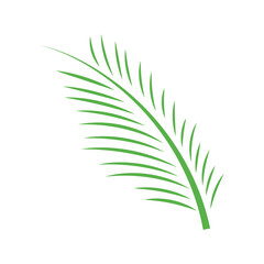 areca palm leaf icon design template vector illustration
