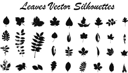 Tree leaves silhouettes plants and nature collection