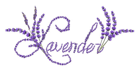 Fototapeta premium Word LAVENDER made of fresh flowers on white background