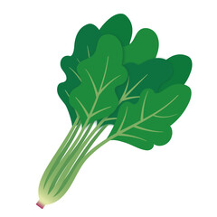 ほうれん草のイラスト