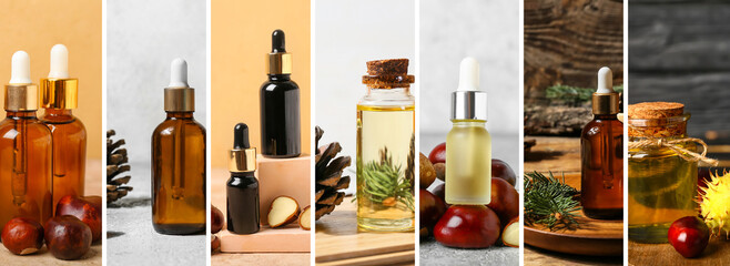 Collage with natural chestnut and coniferous essential oils - obrazy, fototapety, plakaty