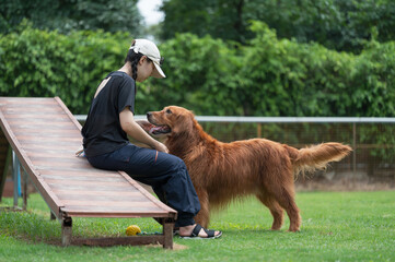 Golden Retriever and owner play in the park