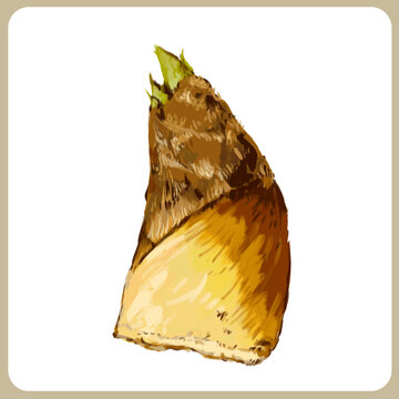 たけのこ Images Browse 5 313 Stock Photos Vectors And Video Adobe Stock