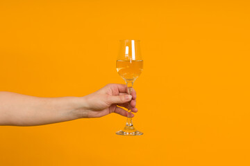 woman holding a glass champagne glass in her hand on a colored background