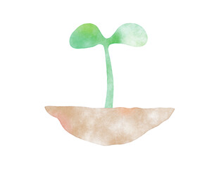 土から生えている1本の双葉