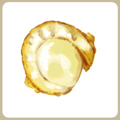 手描き水彩の帆立イラスト3