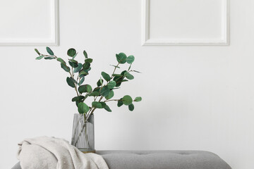 Vase with eucalyptus branches and plaid on bench near light wall