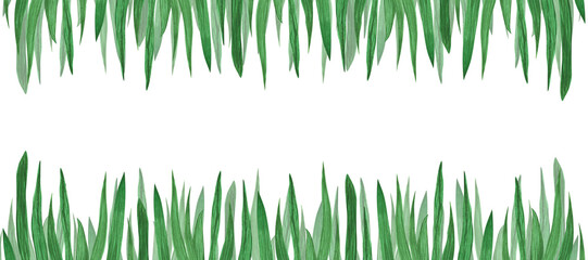 Frame Seaweed, algae, grass, leaves, spirulina, plant isolated on white background. Watercolor hand drawn border